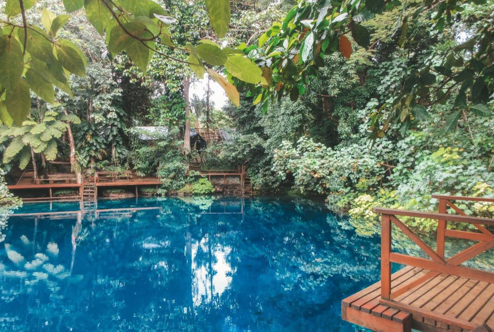 Swim in the Blue Holes of Espiritu Santo