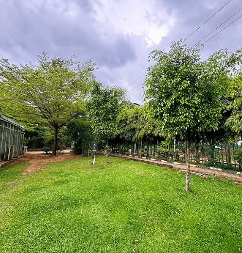 A Destination for Every Occasion