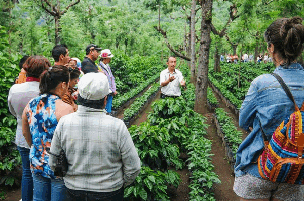 Coffee Tour in Matagalpa