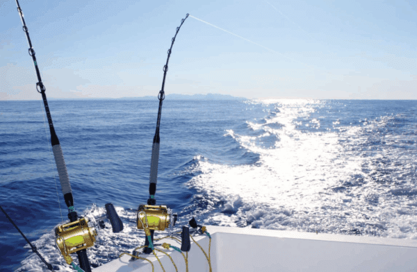 Deep Sea Fishing