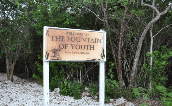 Fountain of Youth