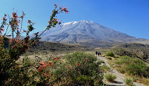Hike a Volcano - Misti or Chachani