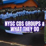 NYSC CDS Groups