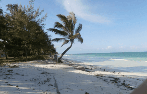 Bwejuu Beach, Zanzibar