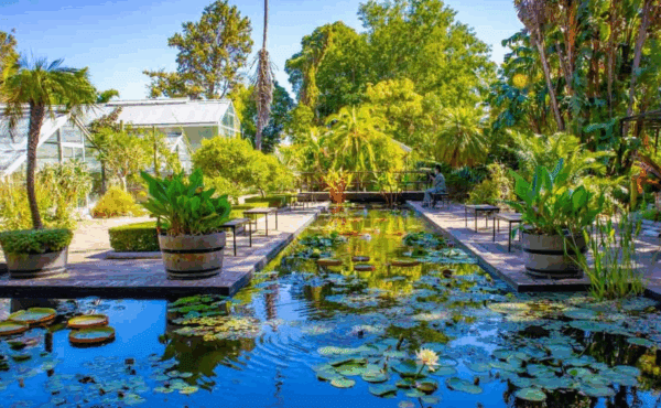 Cape Coast University Botanical Garden