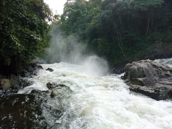 Kwa Waterfall, Cross River State