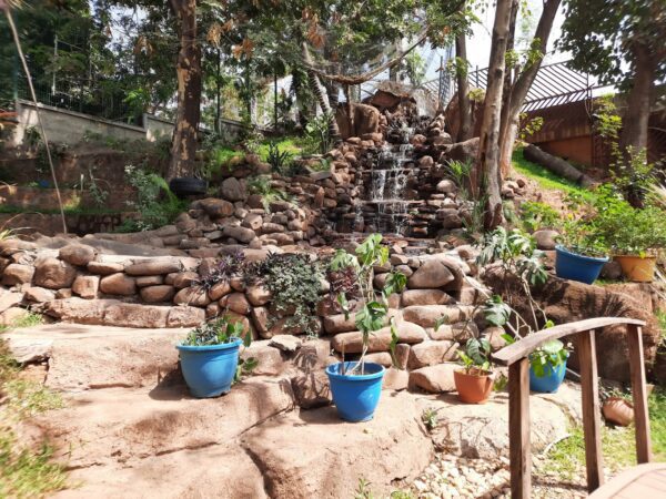 Landscapes and Lifestyle Services