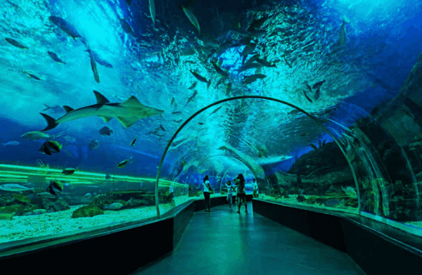 Manila Ocean Park