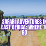 Safari Adventures in East Africa