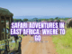 Safari Adventures in East Africa