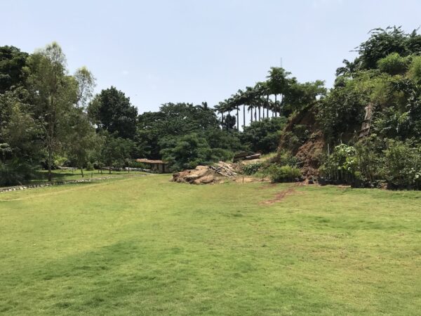 Picnics or Events with a Natural Backdrop