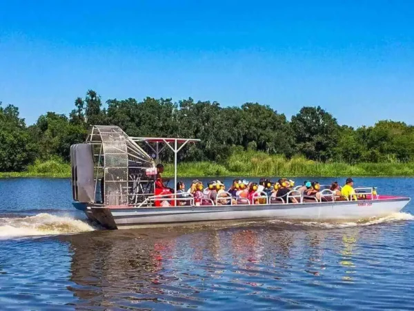 Swamp or Bayou Tour