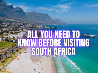All You Need to Know Before Visiting South Africa