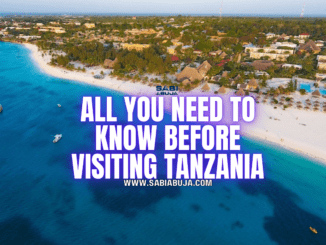 All You Need to Know Before Visiting Tanzania