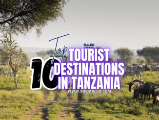 Tourist Destinations in Tanzania