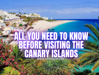 All You Need to Know Before Visiting the Canary Islands