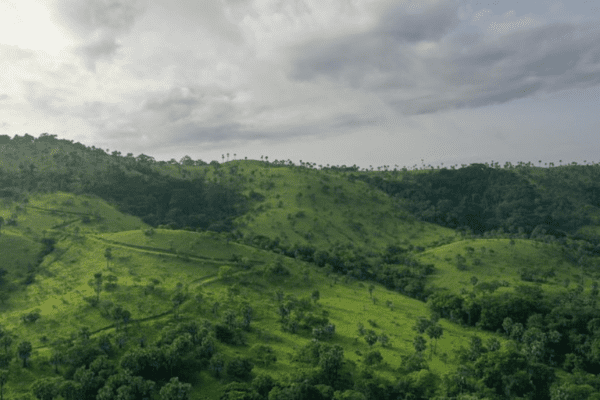 Abokouamekro Wildlife Reserve - Near Yamoussoukro