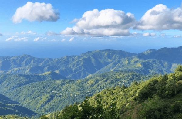 Blue Mountains