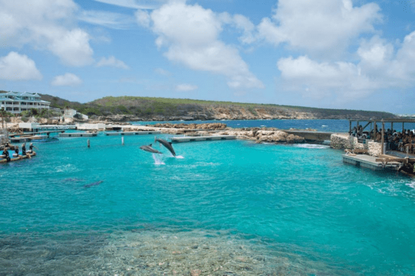 Curacao Sea Aquarium