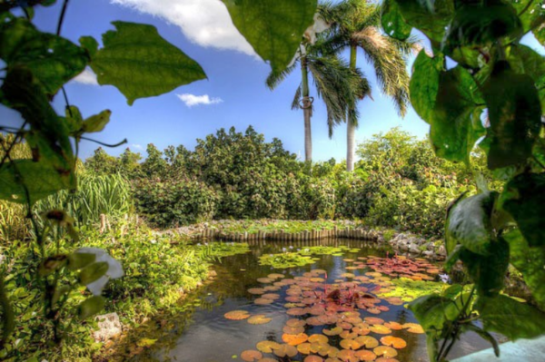 Enjoy Nature at Queen Elizabeth II Botanic Park