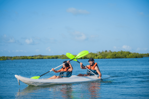 Enjoy Water Activities