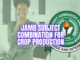 JAMB Subject Combination for Crop Production