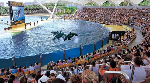Loro Parque