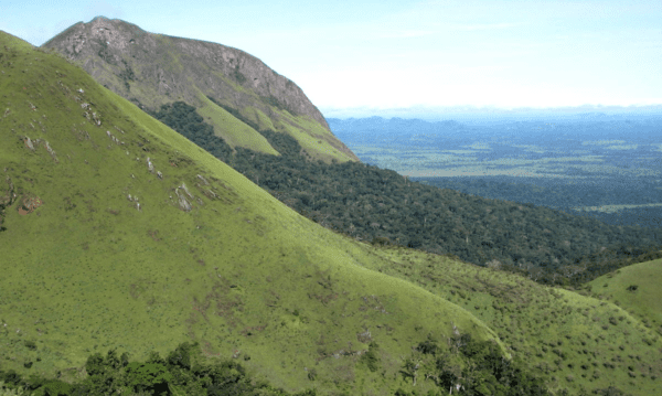 Mount Nimba Strict Nature Reserve - Border Region