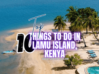 Things to Do in Lamu Island