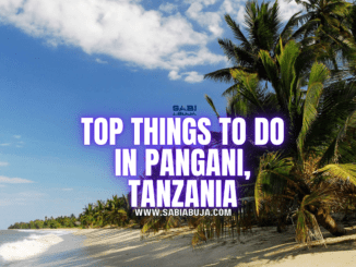 Top Things to Do in Pangani, Tanzania