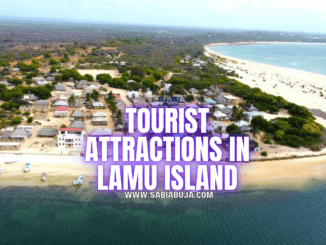 Tourist Attractions in Lamu Island