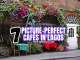 Picture-Perfect Cafés in Lagos