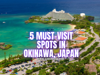 Must-Visit Spots in Okinawa