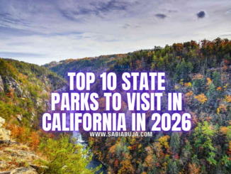 Top 10 State Parks to Visit in California in 2026