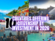 Countries Offering Citizenship by Investment in 2026