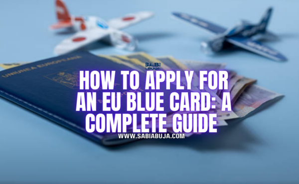 How to Apply for an EU Blue Card: A Complete Guide 
